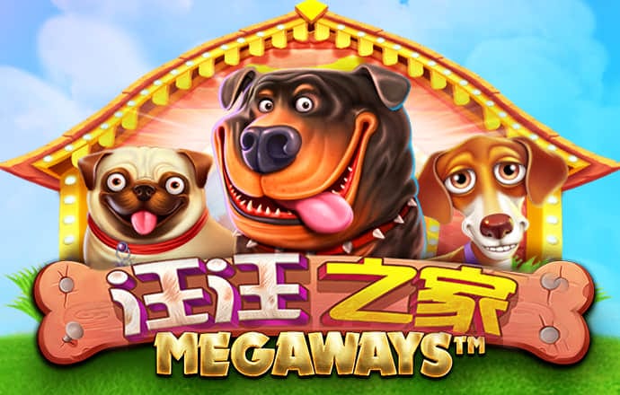 050五彩堂平台下载方法